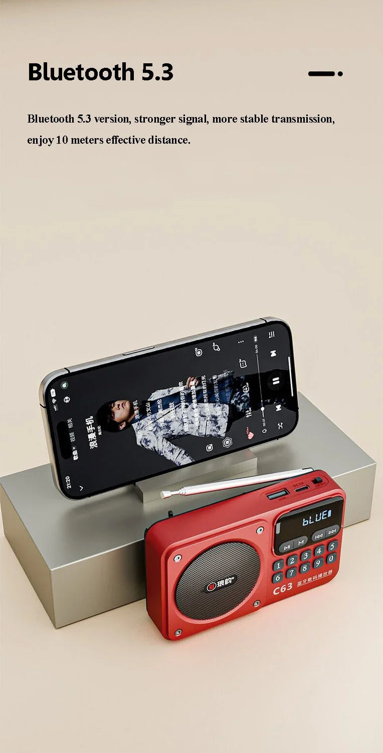 Rechargeable Portable FM Radio Type C Charging Wireless Speakers Support USB TF Card MP3 Music Player with FM Radio Receiver