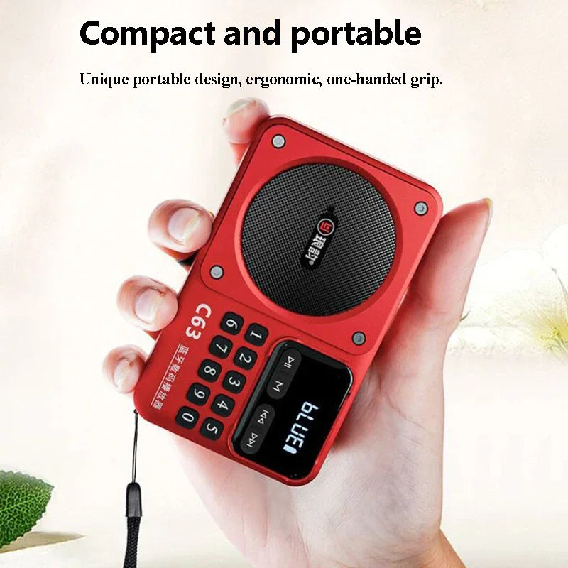 Rechargeable Portable FM Radio Type C Charging Wireless Speakers Support USB TF Card MP3 Music Player with FM Radio Receiver