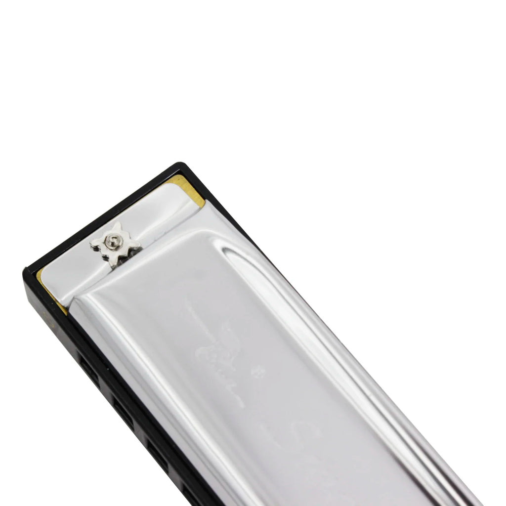 Harmonica 10 Hole 20 Tones Harmonica G Key Harmonica Mouth Organ Suitable For Music Enthusiasts Woodwind Musical Instrument