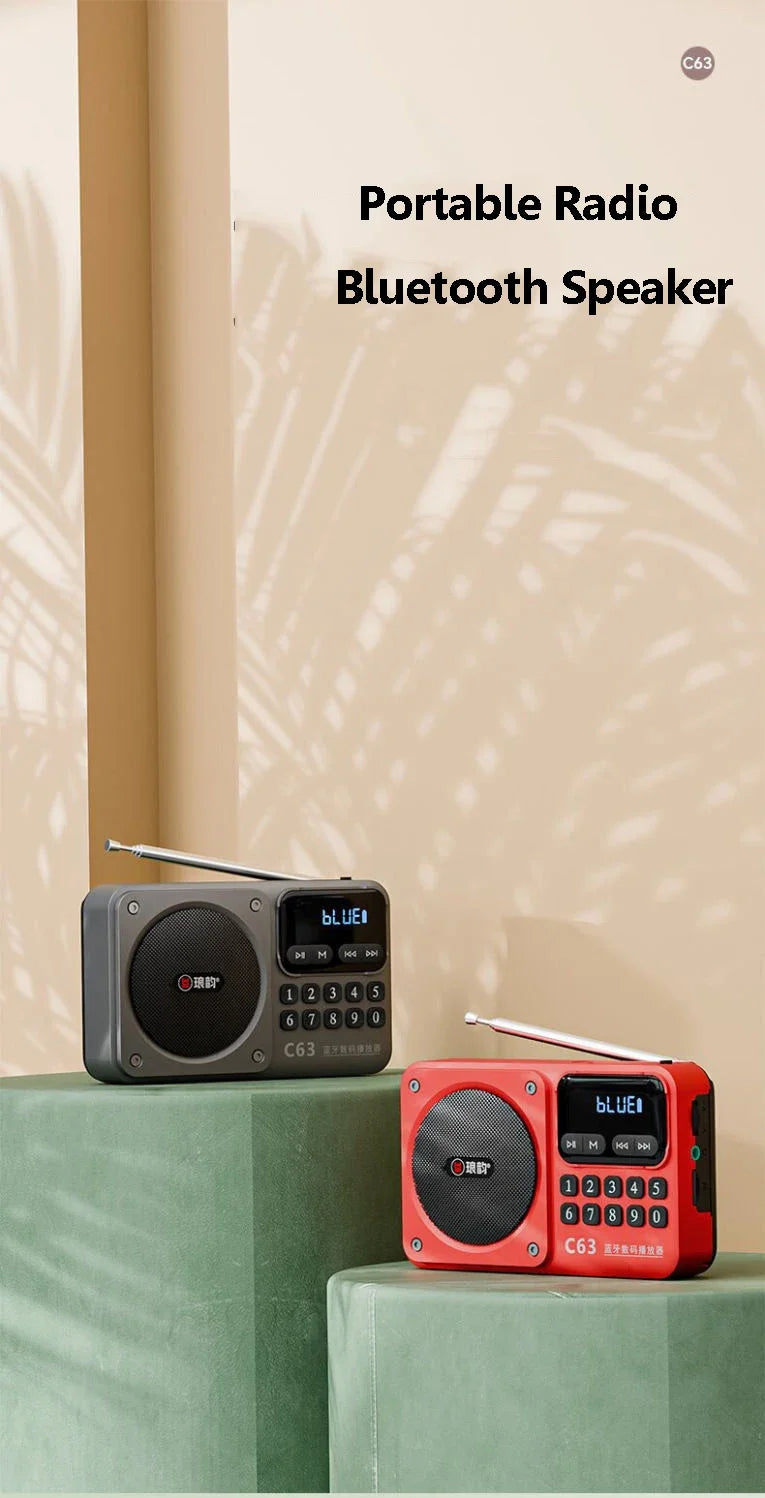 Rechargeable Portable FM Radio Type C Charging Wireless Speakers Support USB TF Card MP3 Music Player with FM Radio Receiver