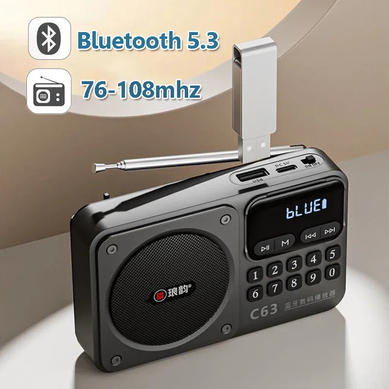 Rechargeable Portable FM Radio Type C Charging Wireless Speakers Support USB TF Card MP3 Music Player with FM Radio Receiver