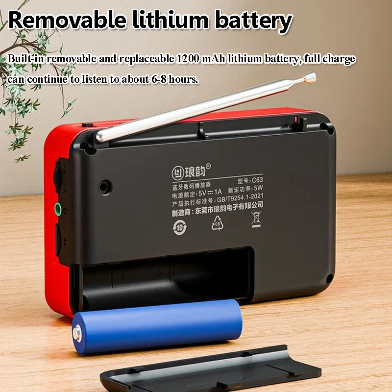 Rechargeable Portable FM Radio Type C Charging Wireless Speakers Support USB TF Card MP3 Music Player with FM Radio Receiver