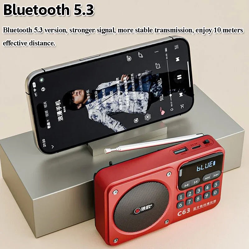 Rechargeable Portable FM Radio Type C Charging Wireless Speakers Support USB TF Card MP3 Music Player with FM Radio Receiver