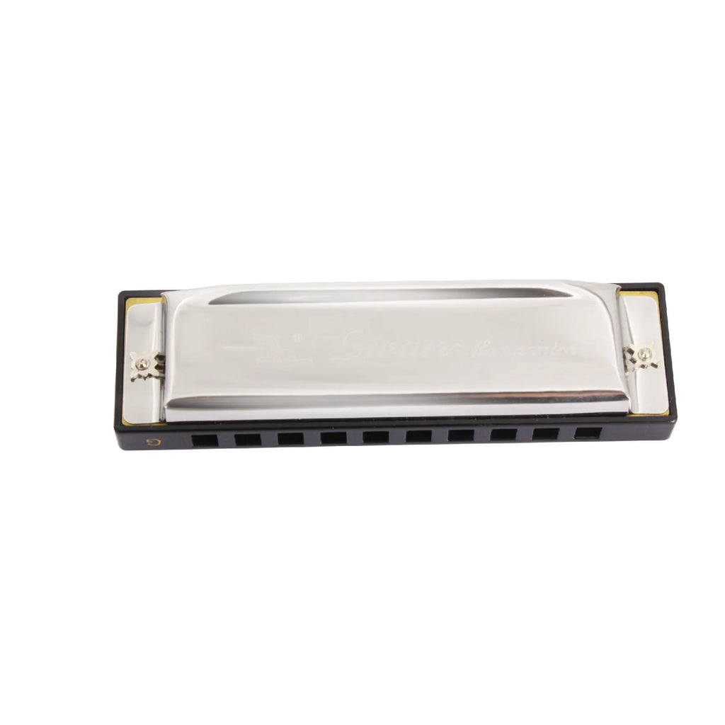 Harmonica 10 Hole 20 Tones Harmonica G Key Harmonica Mouth Organ Suitable For Music Enthusiasts Woodwind Musical Instrument