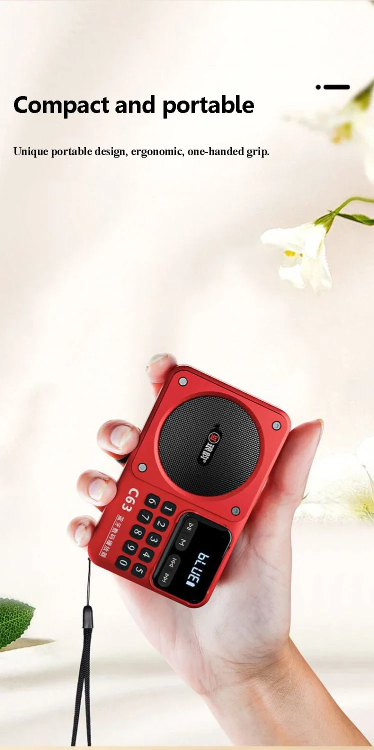 Rechargeable Portable FM Radio Type C Charging Wireless Speakers Support USB TF Card MP3 Music Player with FM Radio Receiver