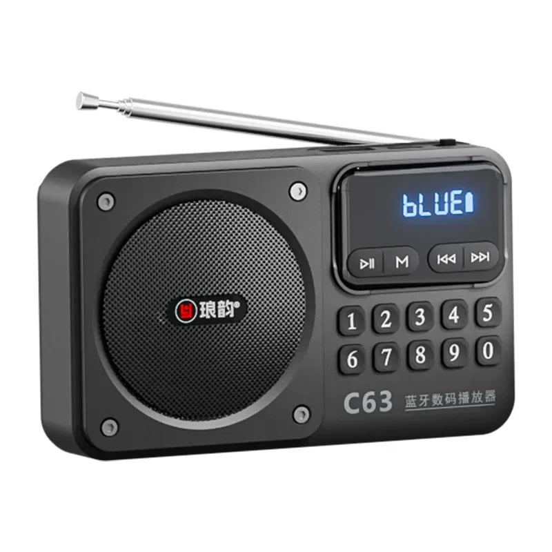 Rechargeable Portable FM Radio Type C Charging Wireless Speakers Support USB TF Card MP3 Music Player with FM Radio Receiver