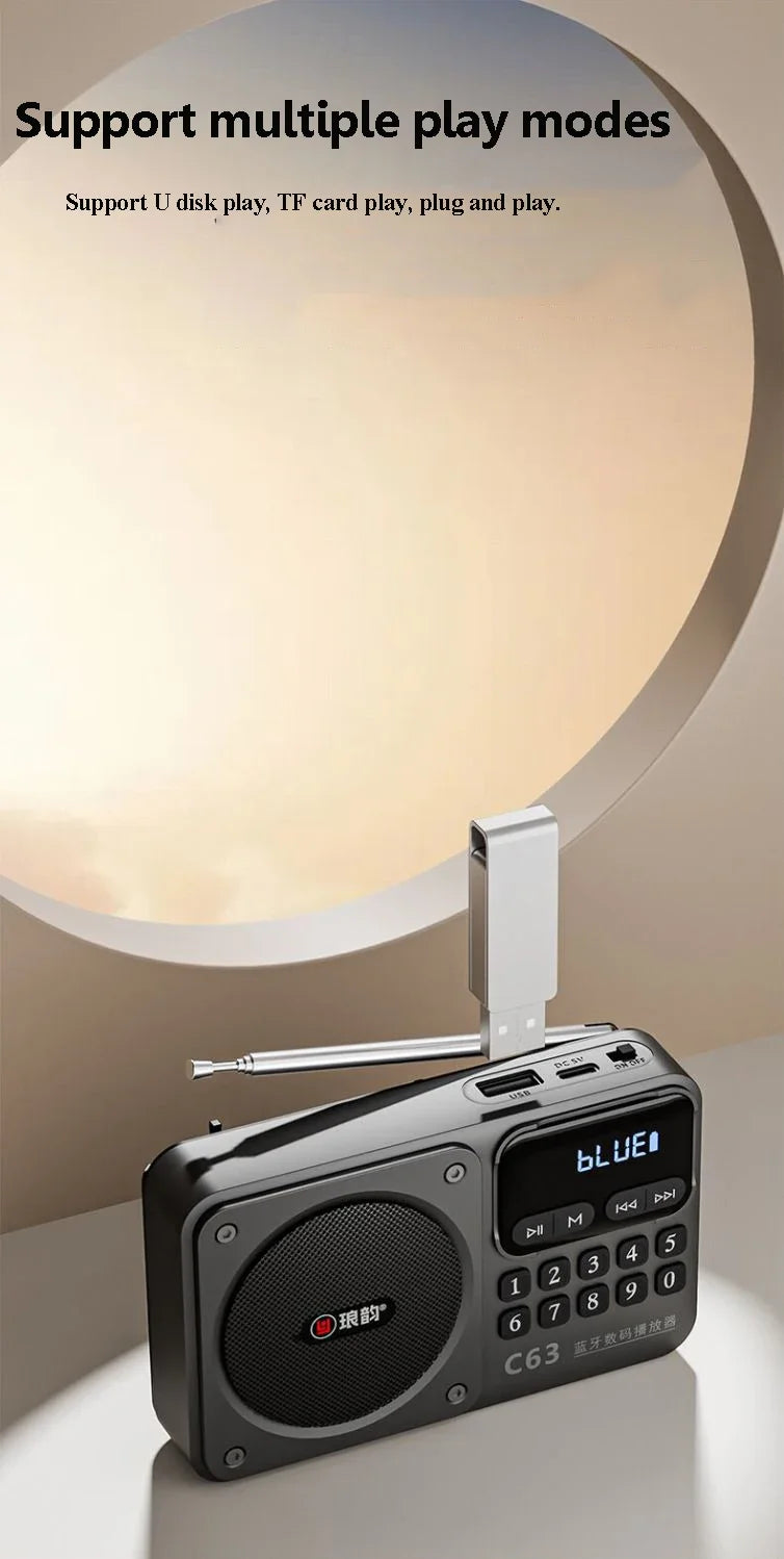 Rechargeable Portable FM Radio Type C Charging Wireless Speakers Support USB TF Card MP3 Music Player with FM Radio Receiver