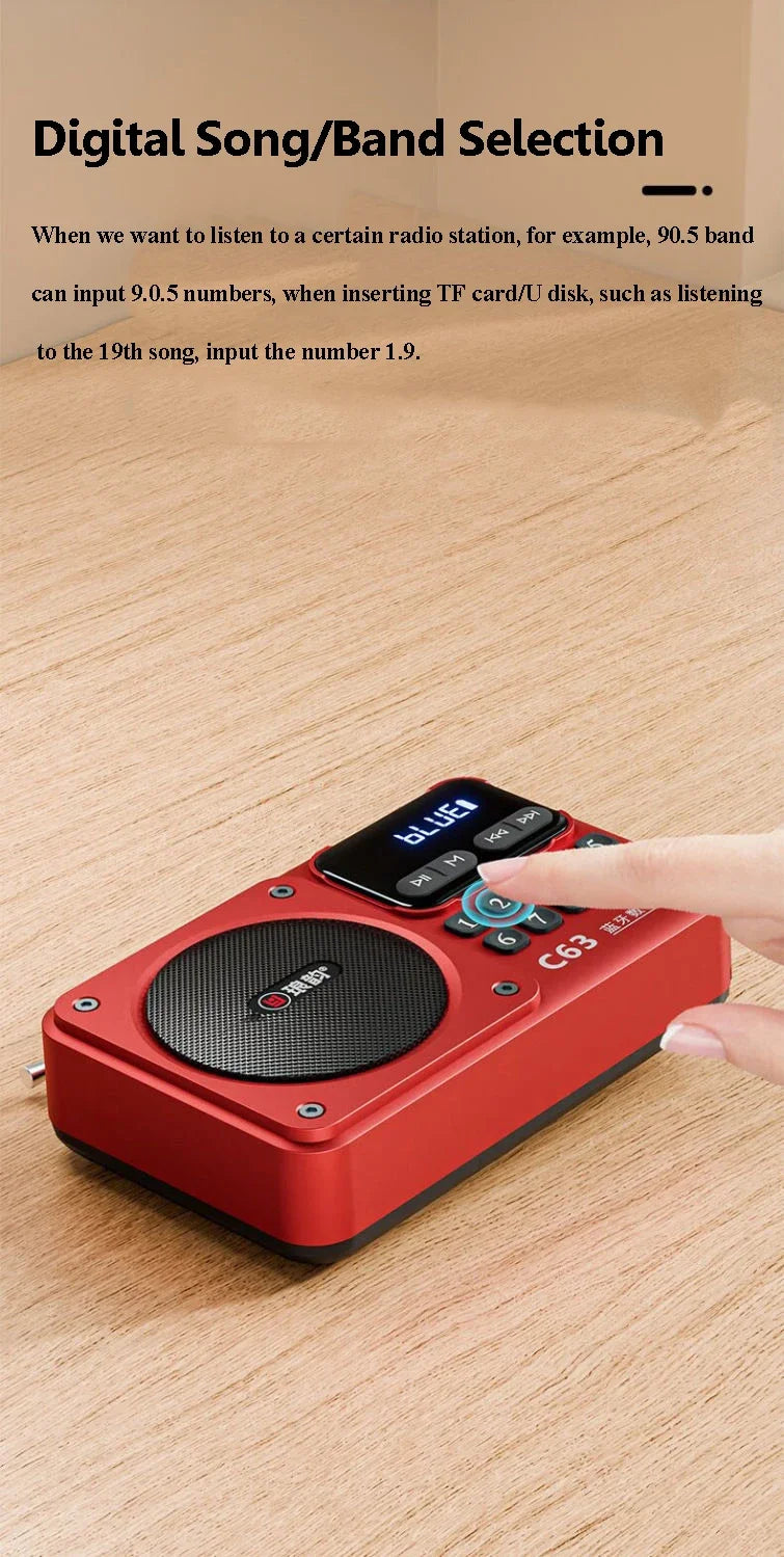 Rechargeable Portable FM Radio Type C Charging Wireless Speakers Support USB TF Card MP3 Music Player with FM Radio Receiver