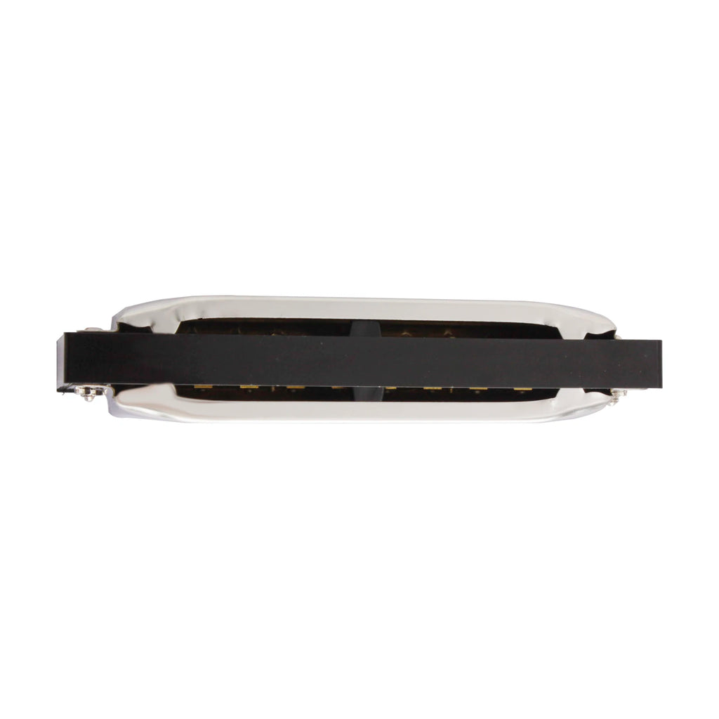 Harmonica 10 Hole 20 Tones Harmonica G Key Harmonica Mouth Organ Suitable For Music Enthusiasts Woodwind Musical Instrument