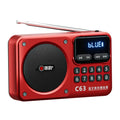 Rechargeable Portable FM Radio Type C Charging Wireless Speakers Support USB TF Card MP3 Music Player with FM Radio Receiver