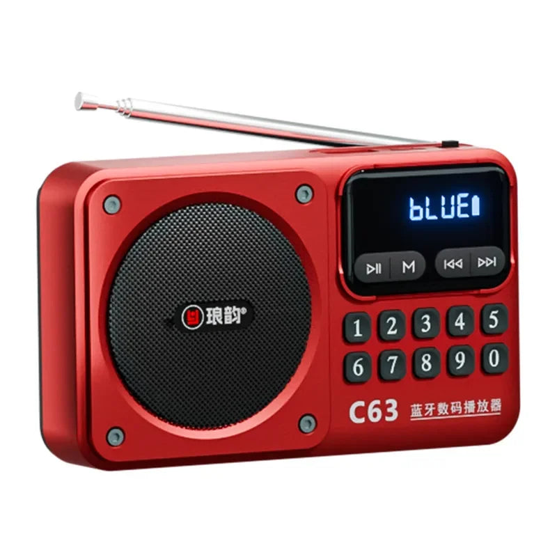 Rechargeable Portable FM Radio Type C Charging Wireless Speakers Support USB TF Card MP3 Music Player with FM Radio Receiver